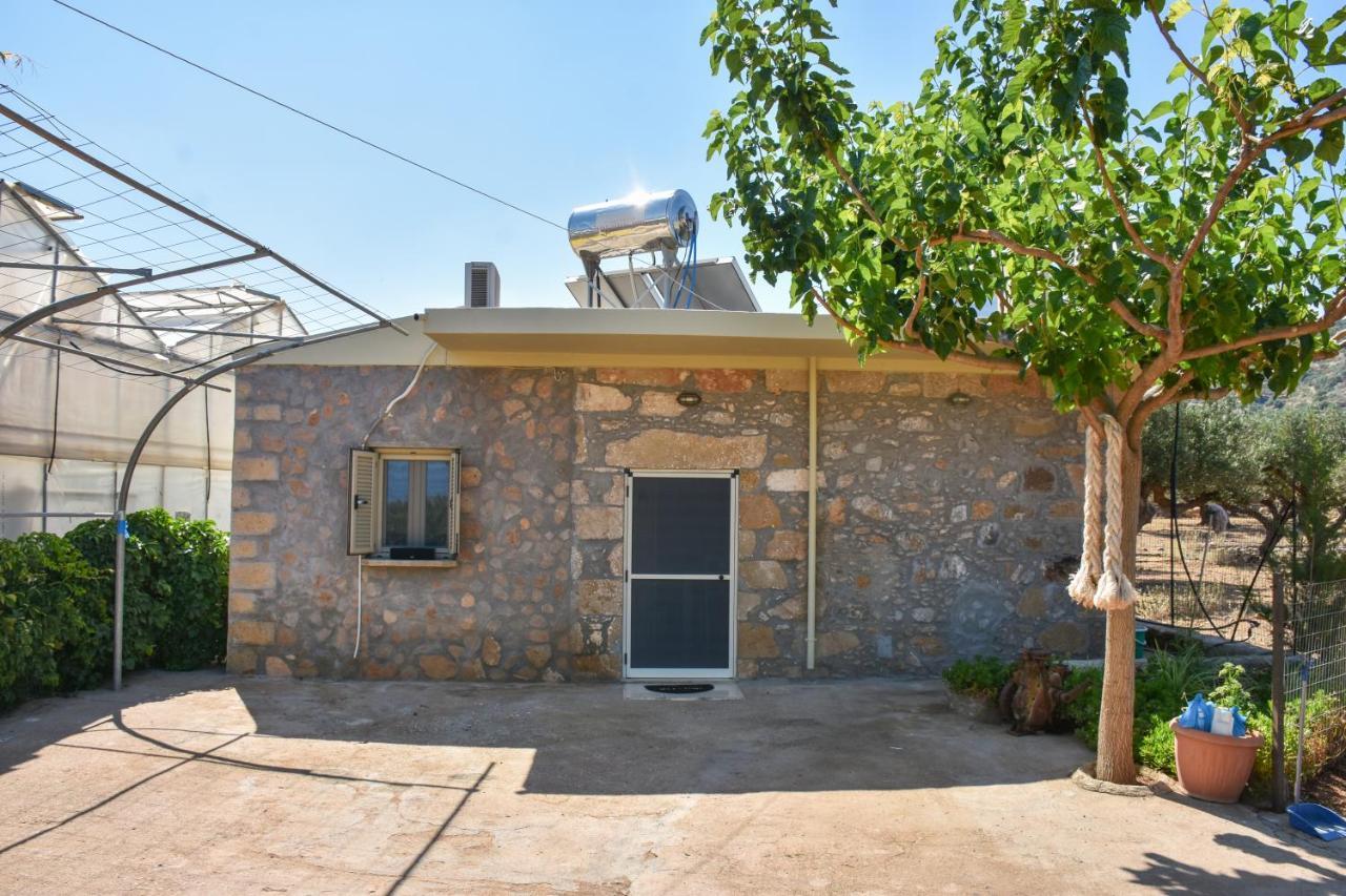 Pause Serenity House Into Olive Groves Villa Agios Fotios Bagian luar foto