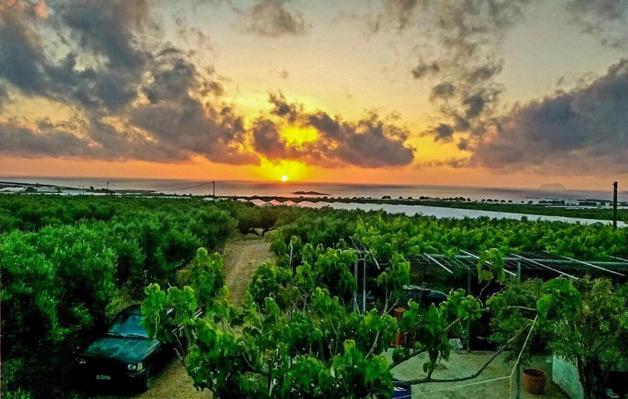 Pause Serenity House Into Olive Groves Villa Agios Fotios Bagian luar foto